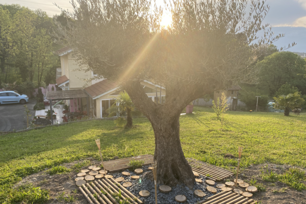 jardin